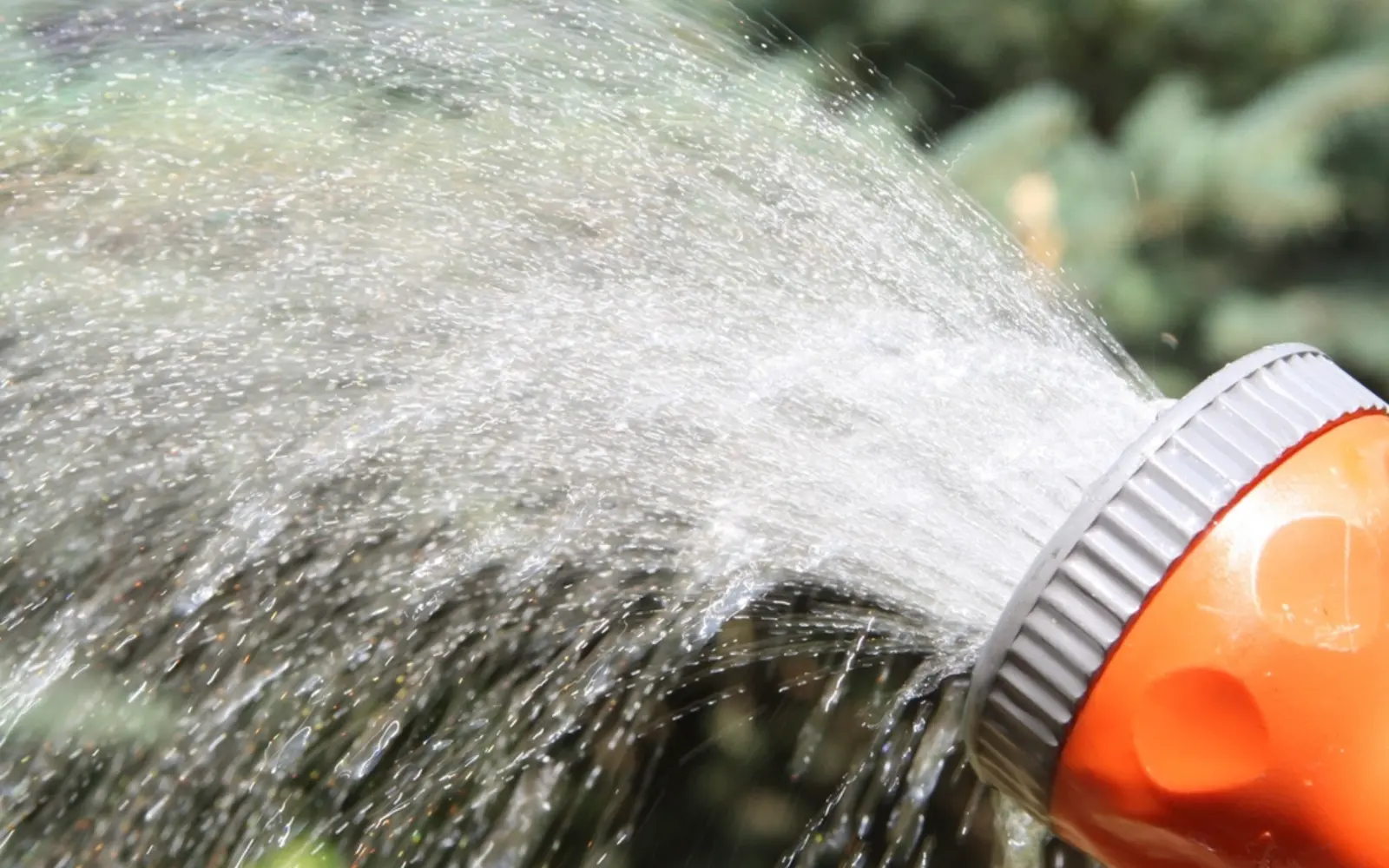 A garden sprayer nozzle spraying